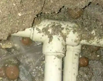 万州测漏水多少钱