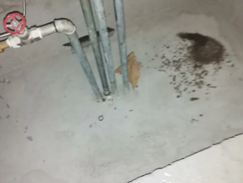 万州卫生间测漏水价格明细